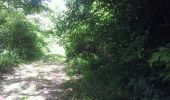 Trail Walking Brusque - Autour de Brusque depuis Ceras - Photo 1