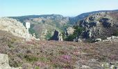 Tour Wandern Rosis - Le Caroux Espinousse - Photo 20
