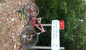 Trail Mountain bike Grospierres - Col de la Cize par chemins - Photo 3