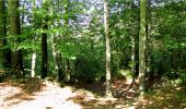 Tocht Stappen Longpont - en forêt de Retz_7_Longpont_Fleury_carrefour des Grives_AR - Photo 14