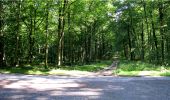 Randonnée Marche Longpont - en forêt de Retz_7_Longpont_Fleury_carrefour des Grives_AR - Photo 7