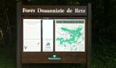 Tocht Stappen Longpont - en forêt de Retz_7_Longpont_Fleury_carrefour des Grives_AR - Photo 13