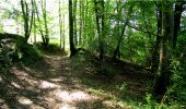 Trail Walking Longpont - en forêt de Retz_7_Longpont_Fleury_carrefour des Grives_AR - Photo 15