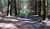 Tocht Stappen Longpont - en forêt de Retz_7_Longpont_Fleury_carrefour des Grives_AR - Photo 4