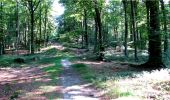Tocht Stappen Longpont - en forêt de Retz_7_Longpont_Fleury_carrefour des Grives_AR - Photo 6