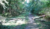 Trail Walking Longpont - en forêt de Retz_7_Longpont_Fleury_carrefour des Grives_AR - Photo 9