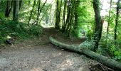 Tocht Stappen Longpont - en forêt de Retz_7_Longpont_Fleury_carrefour des Grives_AR - Photo 18