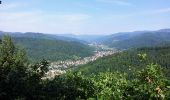 Tour Wandern Bitschweiler - Bitschwiller les Thann  - Photo 7
