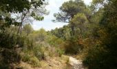 Tour Wandern La Roque-d'Anthéron - val de castellas - Photo 4