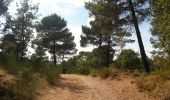 Tour Wandern La Roque-d'Anthéron - val de castellas - Photo 1