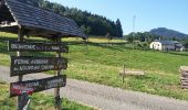 Trail Walking Bourg-Bruche - Le Climont par le Hang - Photo 14