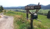 Trail Walking Bourg-Bruche - Le Climont par le Hang - Photo 1