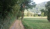 Trail Walking Saint-Lary-Soulan - Entre Saint Lary Soulan et Vignec - Photo 2