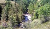 Tour Wandern Allos - Allos -Le Brec - Allos - Photo 1