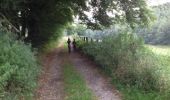 Trail Walking Daverdisse - Gembes - kleine toer - Photo 5