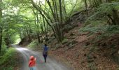 Trail Walking Daverdisse - Gembes - kleine toer - Photo 2