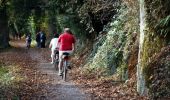 Tour Wandern Rochefort - Nature walk discovering Villers-sur-Lesse, Eprave & Lessive - Photo 1