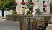 Tocht Stappen Rochefort - Erfgoed - Ontdekkingscircuit Lavaux-Sainte-Anne - Photo 14