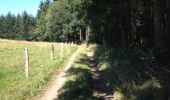 Trail Walking Daverdisse - Gembes zuid - 