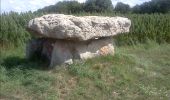 Tour Wandern Marcilly-le-Hayer - Marcilly le Hayer (Dolmens) - Photo 2