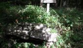 Trail Walking Lailly - Forêt de de Lancy/Vauluisant (Polissoirs + Dolmens) - Photo 9