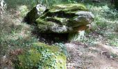 Randonnée Marche Lailly - Forêt de de Lancy/Vauluisant (Polissoirs + Dolmens) - Photo 7