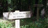 Randonnée Marche Lailly - Forêt de de Lancy/Vauluisant (Polissoirs + Dolmens) - Photo 10