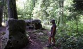 Trail Walking Lailly - Forêt de de Lancy/Vauluisant (Polissoirs + Dolmens) - Photo 11