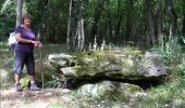 Randonnée Marche Lailly - Forêt de de Lancy/Vauluisant (Polissoirs + Dolmens) - Photo 5