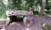 Trail Walking Lailly - Forêt de de Lancy/Vauluisant (Polissoirs + Dolmens) - Photo 12