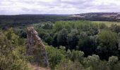 Trail Walking Mailly-le-Château - SLV-120826-Vincelles - Mailly 2 - Photo 2