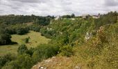 Trail Walking Mailly-le-Château - SLV-120826-Vincelles - Mailly 2 - Photo 1