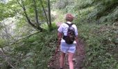 Trail Walking Nâves-Parmelan - Parmelan (depuis Nâves) - Photo 2
