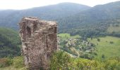Randonnée Marche Urbeis - Le château du Bilstein - Photo 12