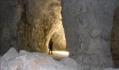 Trail Walking Saint-Maurice-aux-Riches-Hommes - Forêt de Vauluisant (Dolmens de Trainel + Grotte) - Photo 2