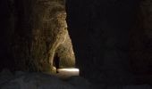 Trail Walking Saint-Maurice-aux-Riches-Hommes - Forêt de Vauluisant (Dolmens de Trainel + Grotte) - Photo 3