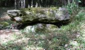 Tour Wandern Saint-Maurice-aux-Riches-Hommes - Forêt de Vauluisant (Dolmens de Trainel + Grotte) - Photo 10