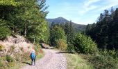 Trail Walking Wisches - La vallée du Netzenbach - Photo 2