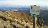 Tocht Andere activiteiten Chambon-sur-Lac - puy de sancy - Photo 8