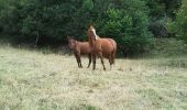 Tocht Andere activiteiten Chambon-sur-Lac - puy de sancy - Photo 1