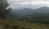 Randonnée Marche Beaumes-de-Venise - autour des dentelles de Montmirail - Photo 1