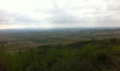 Randonnée Cheval Cuxac-d'Aude - matinée rando cuxac - Photo 1
