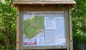 Randonnée Marche Ham-sur-Heure-Nalinnes - Piste de santé dans le bois du Noir Chien - Photo 3