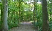Randonnée Marche Ham-sur-Heure-Nalinnes - Piste de santé dans le bois du Noir Chien - Photo 1
