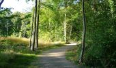 Randonnée Marche Ham-sur-Heure-Nalinnes - Piste de santé dans le bois du Noir Chien - Photo 2