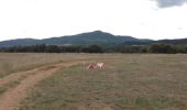 Tour Wandern Château-Arnoux-Saint-Auban - Saint Auban le terrain d'aviation - Photo 2