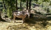 Tour Wandern Pourrières - Pourières le Pain de Munition - Photo 6