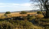 Tour Wandern Weismes - signal de botrange - Photo 2