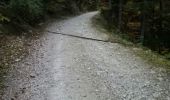 Trail Walking Engins - plateau sornin - Photo 3