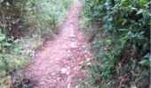 Trail Walking Biot - biot Marion - Photo 5